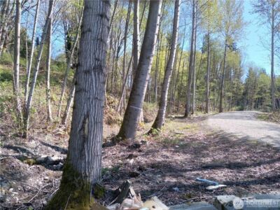 10043 SE Carr Road , Renton, WA 98055 - Photo 5