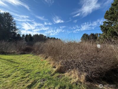 139 xx Pacific Way , Long Beach, WA 98631 - Photo 3