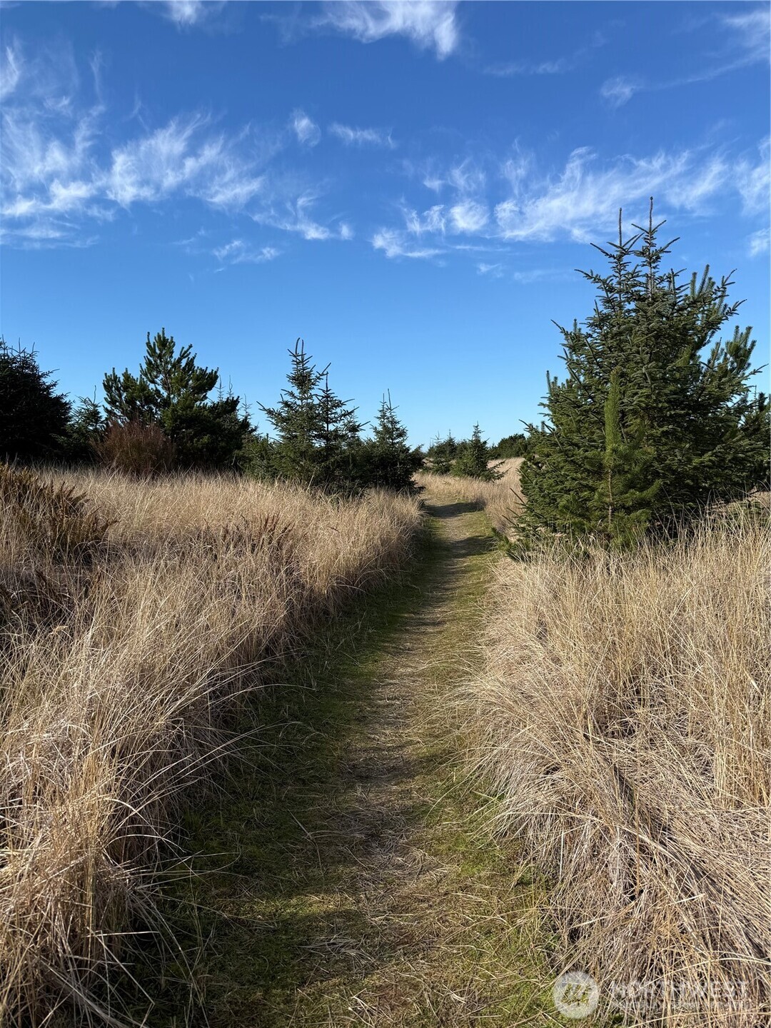 139 xx Pacific Way , Long Beach, WA 98631