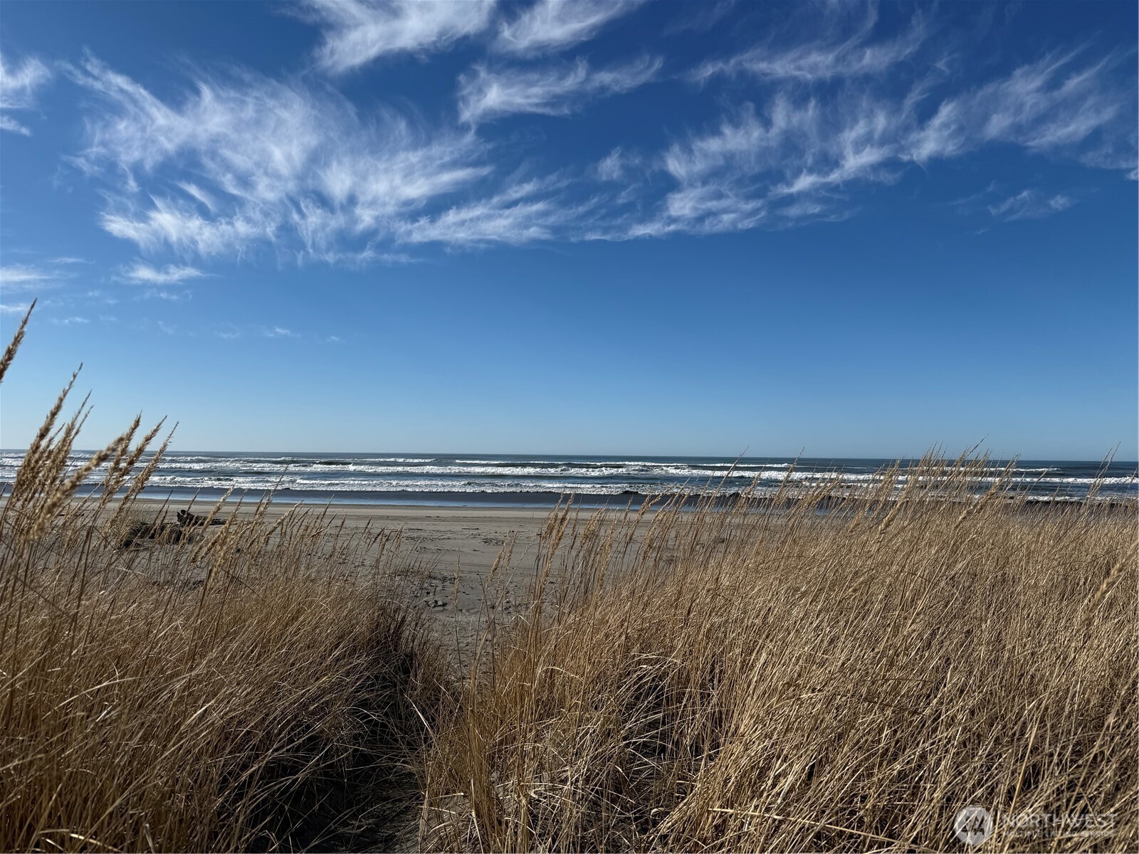 139 xx Pacific Way , Long Beach, WA 98631