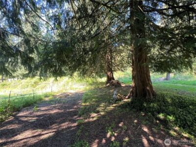 7409 Happy Hollow Road , Stanwood, WA 98292 - Photo 18