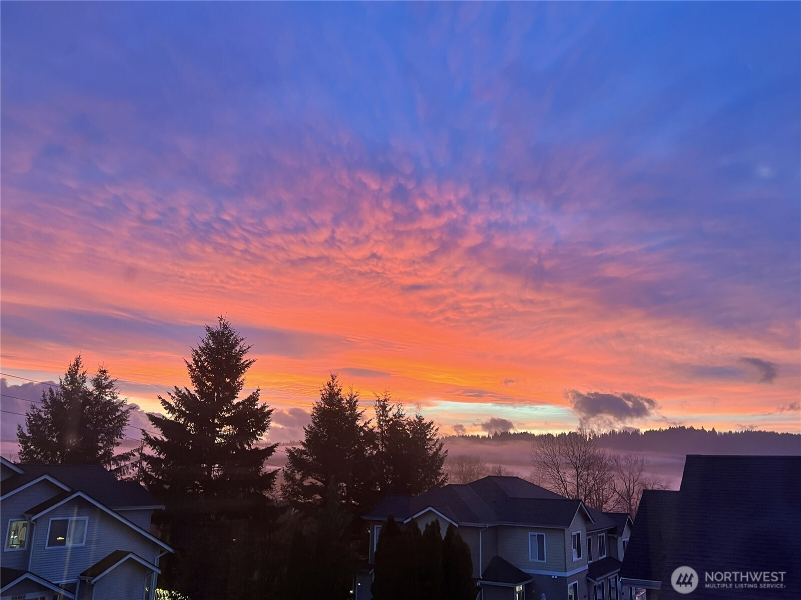 14506 1st Lane NE #101, Duvall, WA 98019