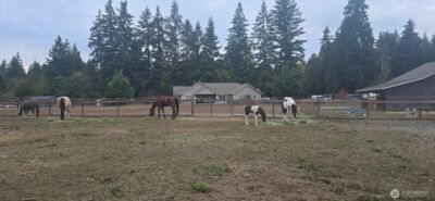 8106 Spurgeon Creek Road SE, Olympia, WA 98503 - Photo 25