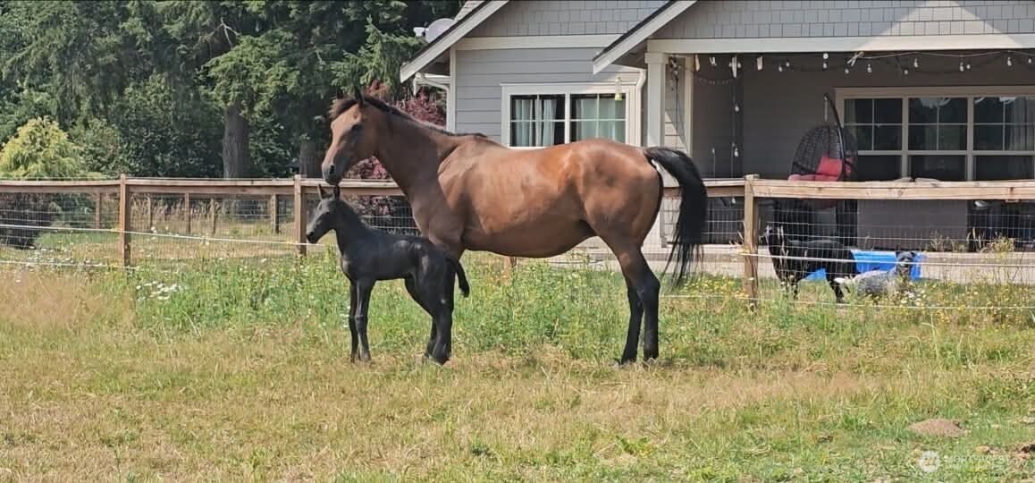 8106 Spurgeon Creek Road SE, Olympia, WA 98503