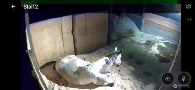 8106 Spurgeon Creek Road SE, Olympia, WA 98503 - Photo 28