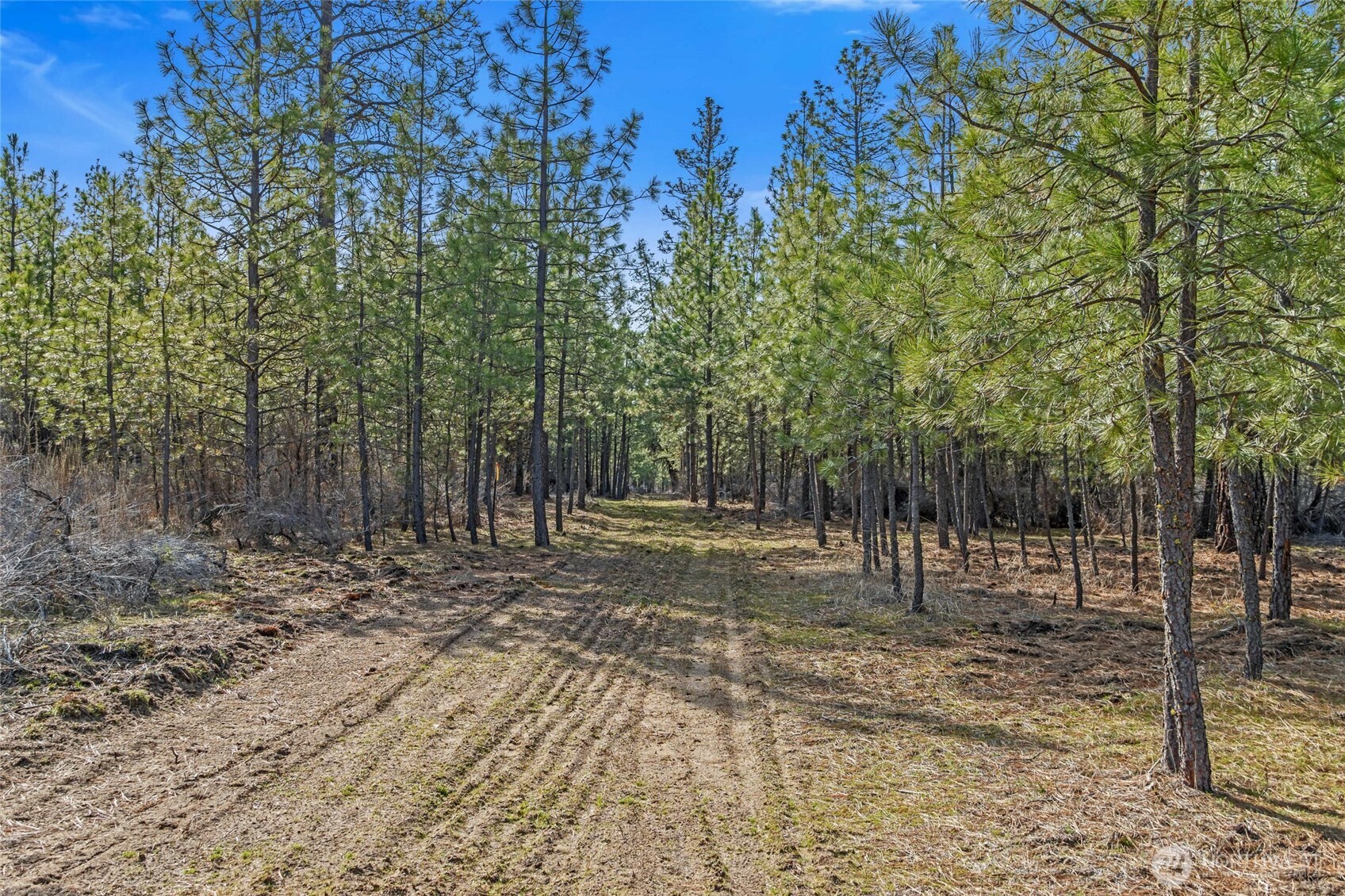 38800 E Sand Flats , Davenport, WA 99122