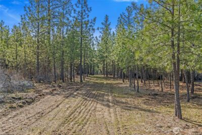 38800 E Sand Flats , Davenport, WA 99122 - Photo 11