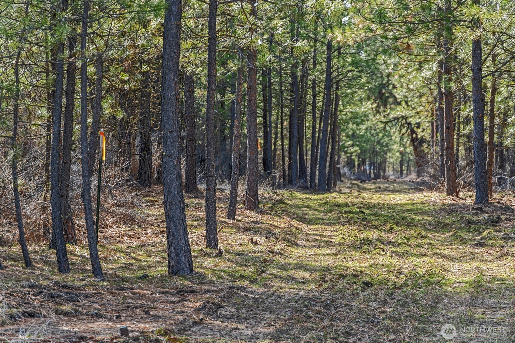 38800 E Sand Flats , Davenport, WA 99122