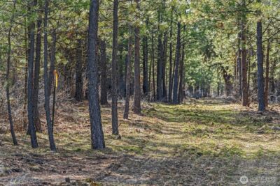 38800 E Sand Flats , Davenport, WA 99122 - Photo 12