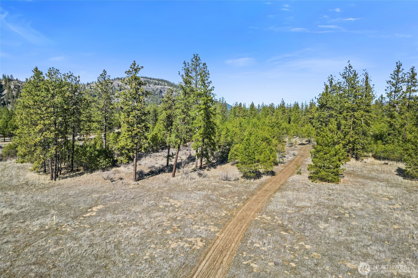 38800 E Sand Flats , Davenport, WA 99122