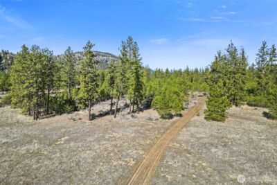 38800 E Sand Flats , Davenport, WA 99122 - Photo 13