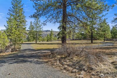 38800 E Sand Flats , Davenport, WA 99122 - Photo 3