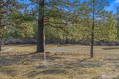 38800 E Sand Flats , Davenport, WA 99122 - Photo 4