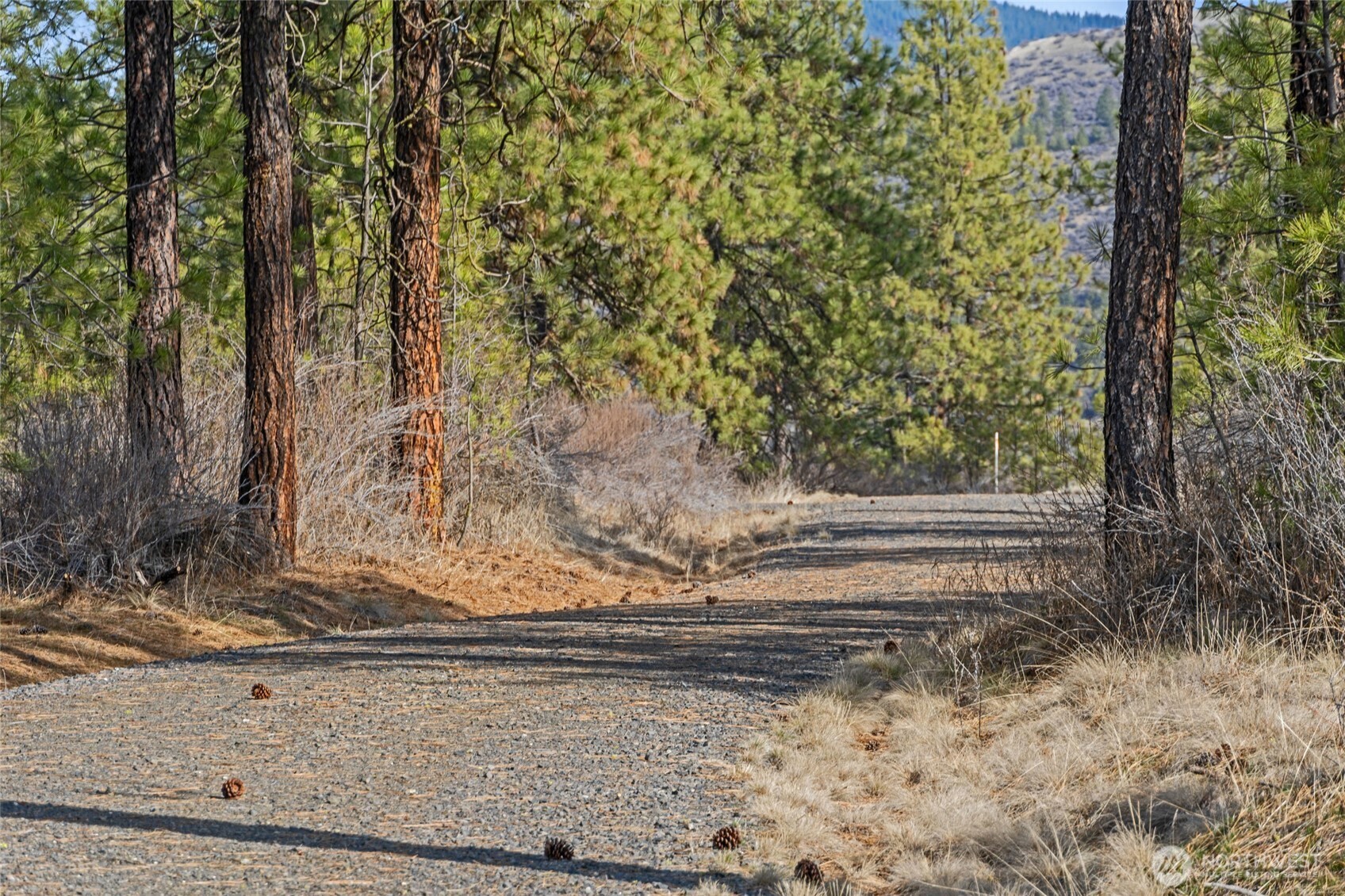 38800 E Sand Flats , Davenport, WA 99122