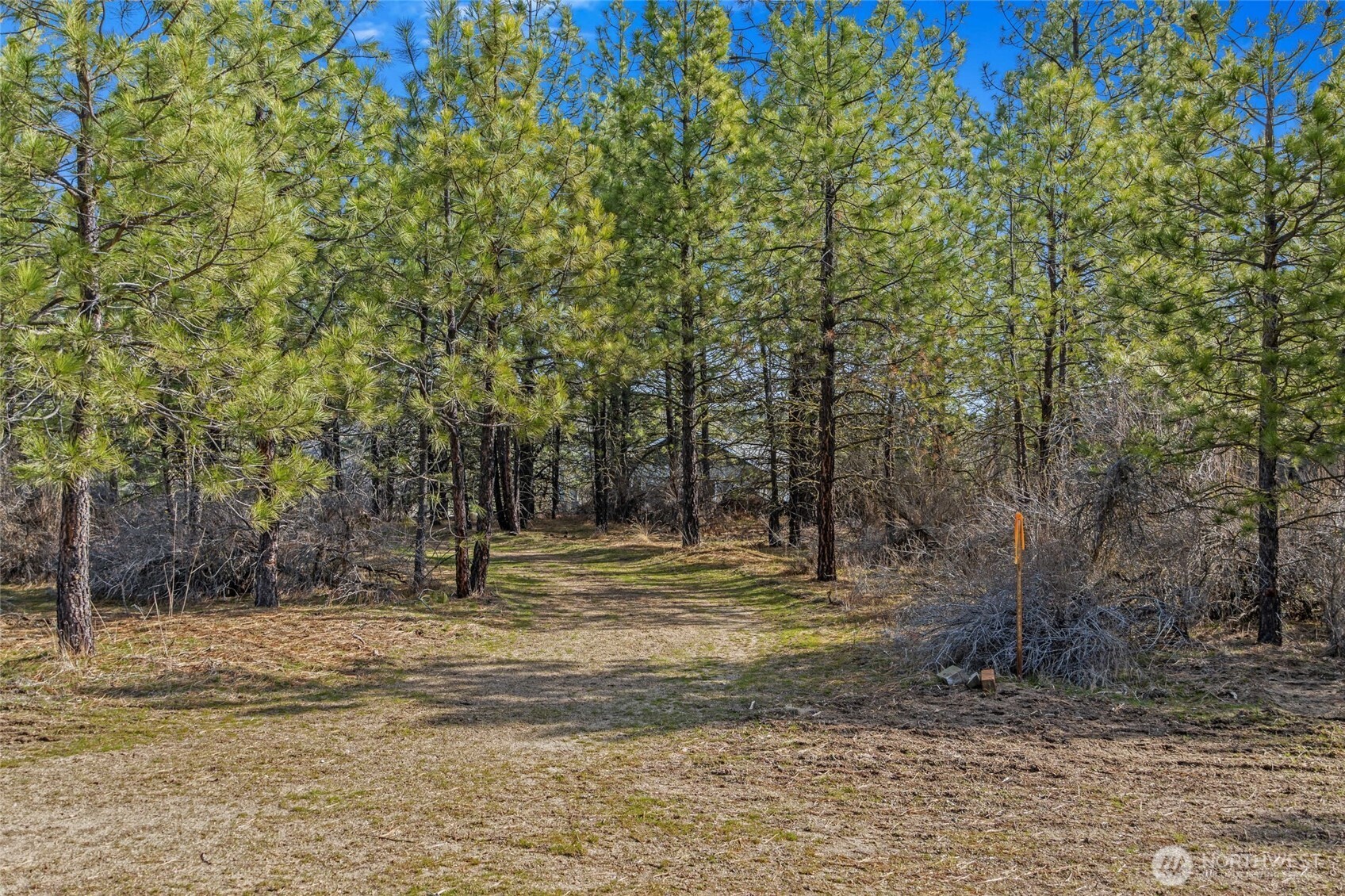 38800 E Sand Flats , Davenport, WA 99122