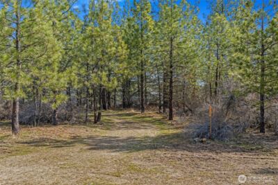 38800 E Sand Flats , Davenport, WA 99122 - Photo 6