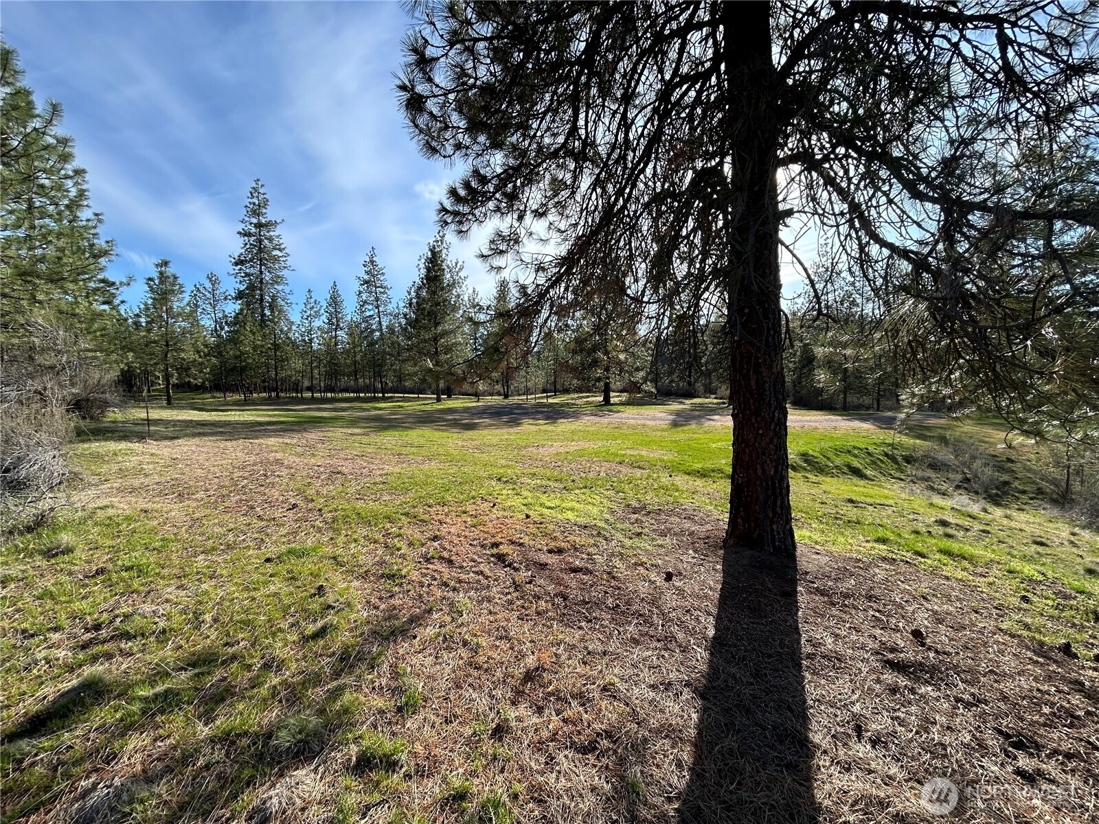 38800 E Sand Flats , Davenport, WA 99122