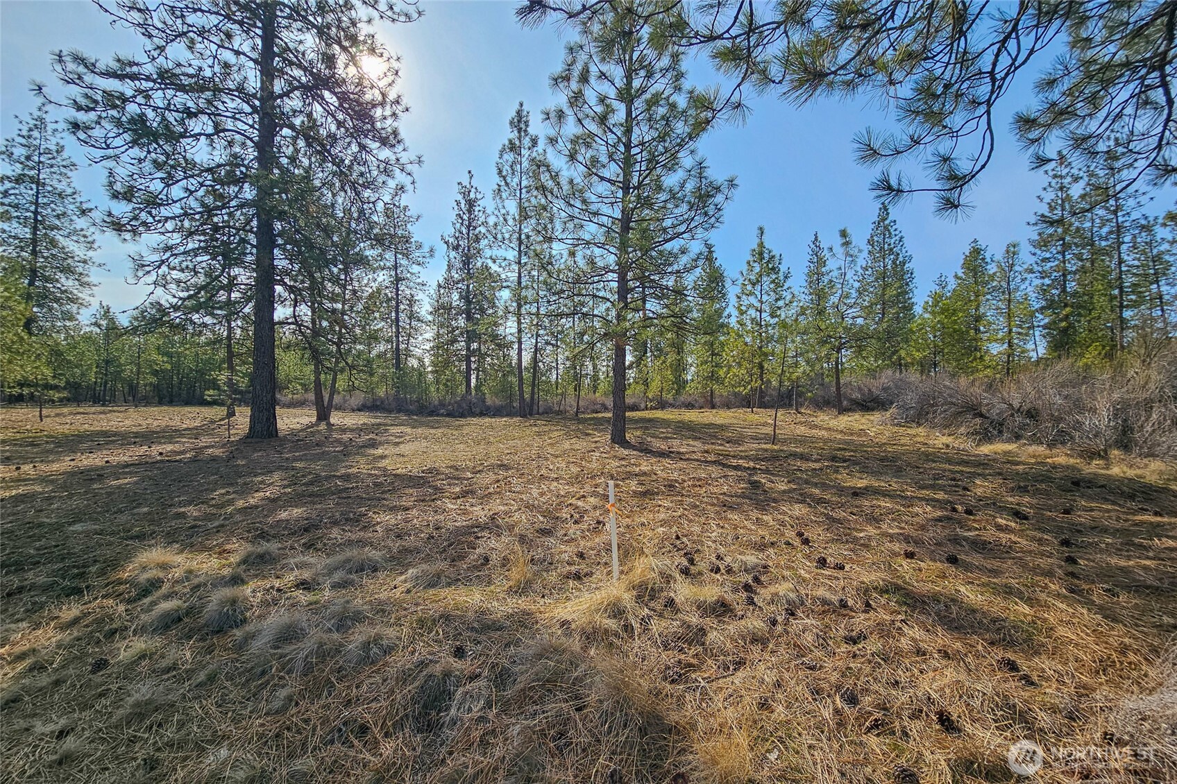 38800 E Sand Flats , Davenport, WA 99122