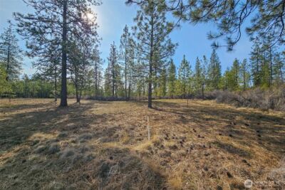 38800 E Sand Flats , Davenport, WA 99122 - Photo 9