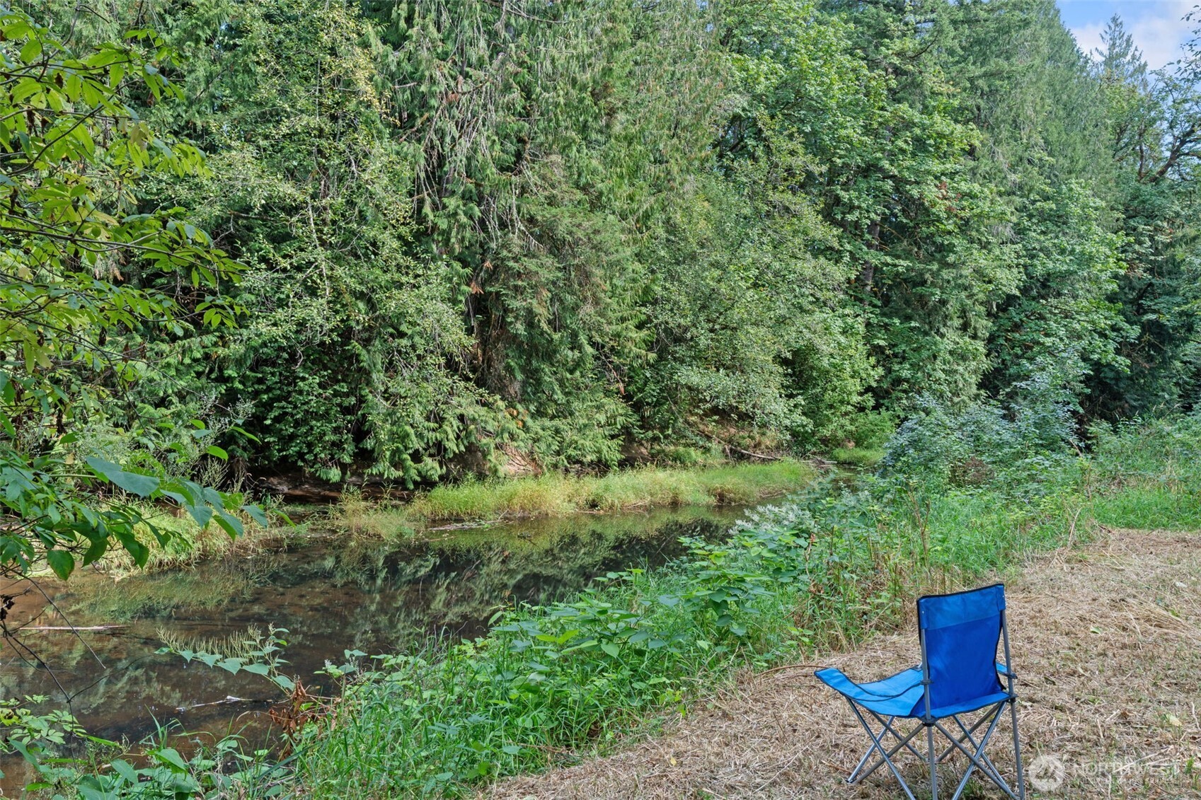 115 Maschke Road , Vader, WA 98593