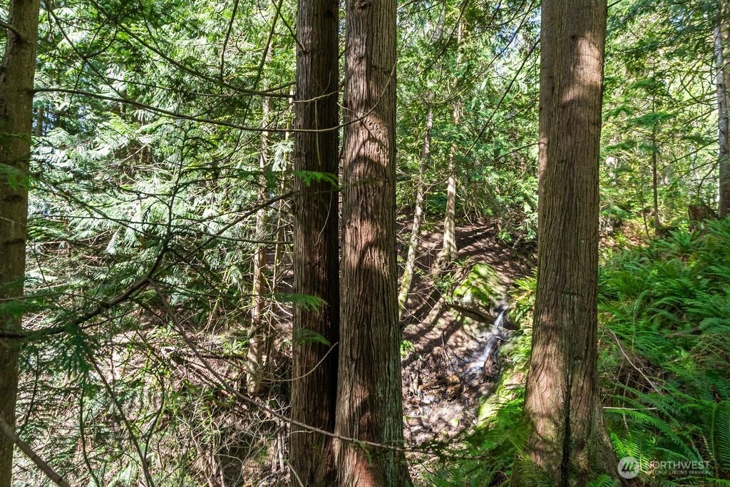 22 Berry Wood Place , Bellingham, WA 98229