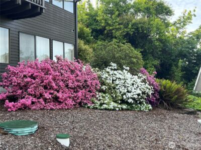23850 43rd Avenue S, Kent, WA 98032 - Photo 36