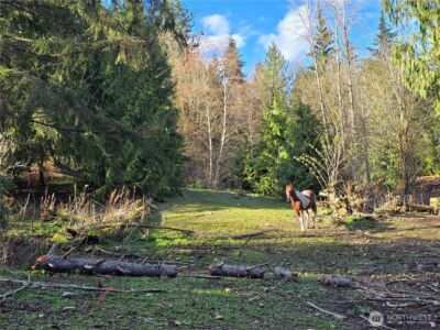 16827 NE 24th Place , Snohomish, WA 98290 - Photo 11