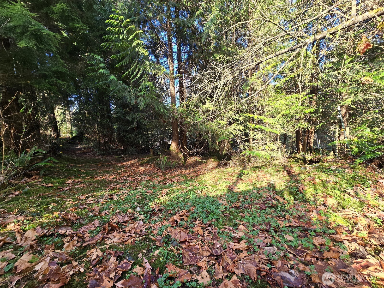 16827 NE 24th Place , Snohomish, WA 98290