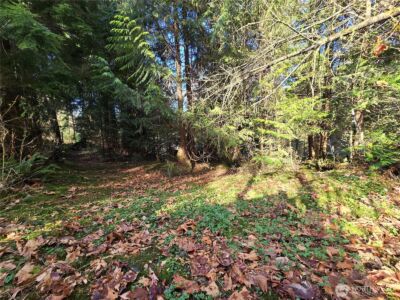 16827 NE 24th Place , Snohomish, WA 98290 - Photo 17