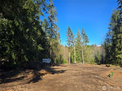 16827 NE 24th Place , Snohomish, WA 98290 - Photo 2