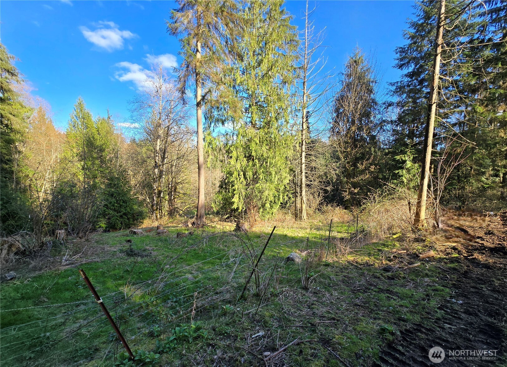 16827 NE 24th Place , Snohomish, WA 98290