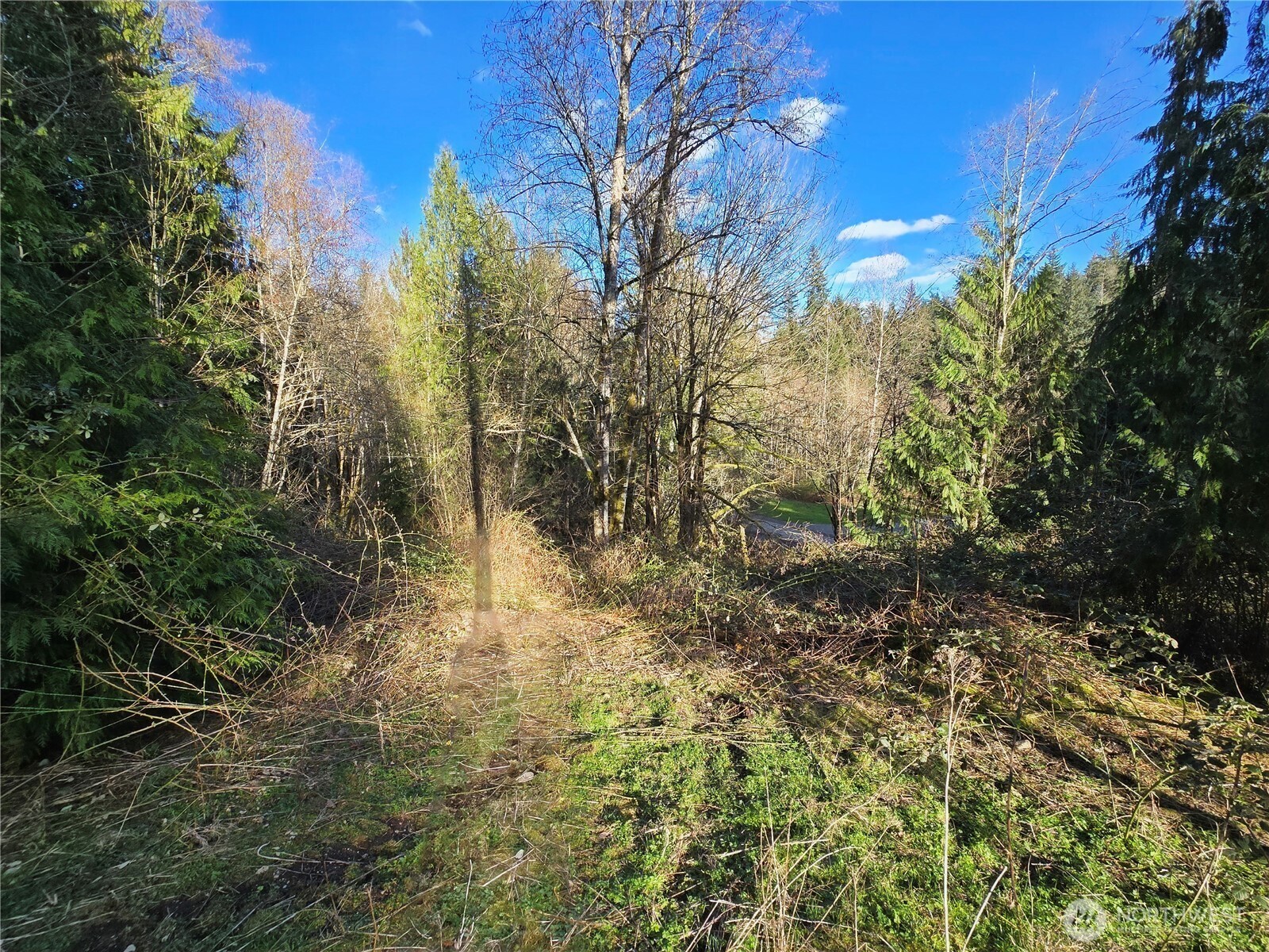 16827 NE 24th Place , Snohomish, WA 98290