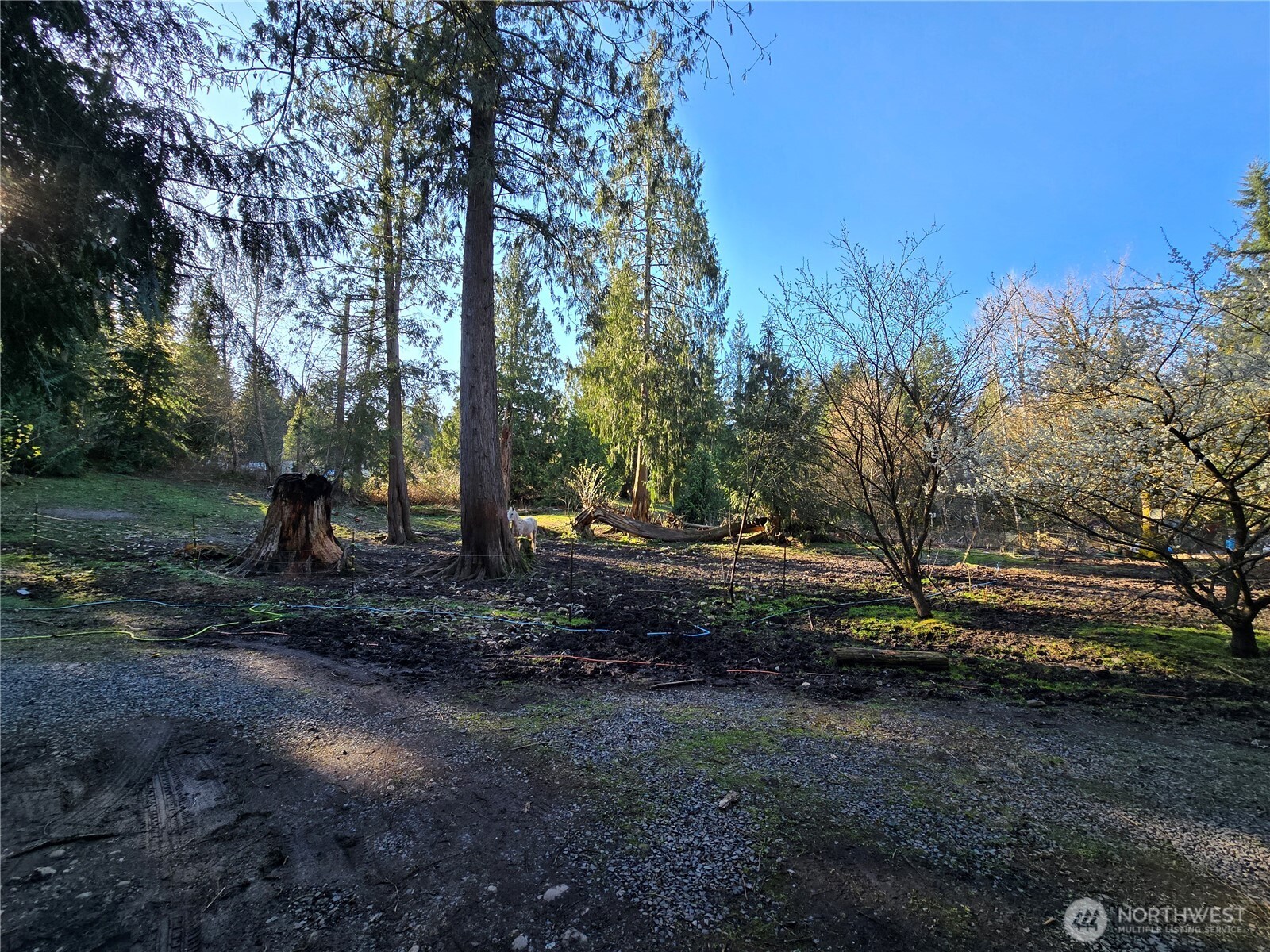 16827 NE 24th Place , Snohomish, WA 98290