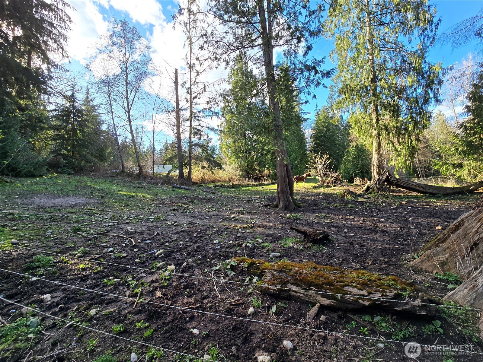 16827 NE 24th Place , Snohomish, WA 98290