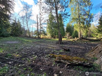 16827 NE 24th Place , Snohomish, WA 98290 - Photo 10