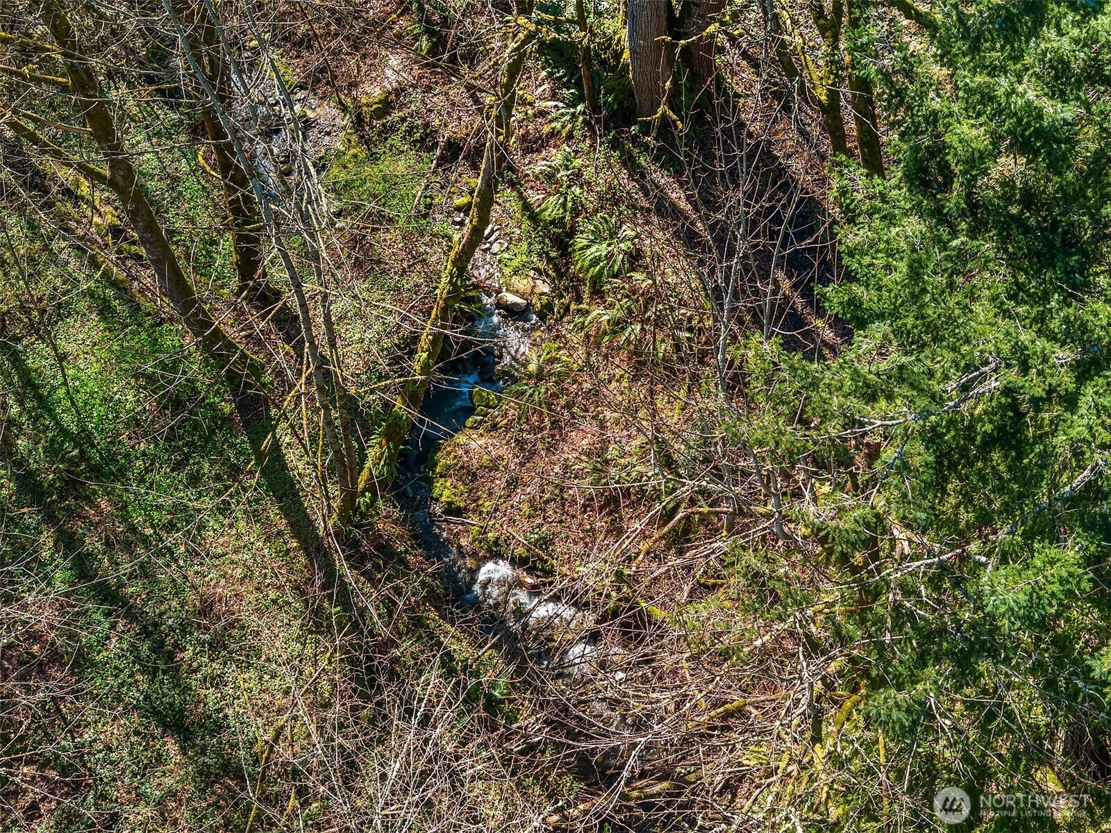 1000 Cabin Creek Lane SW #B303, Issaquah, WA 98027