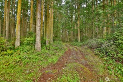 0 XXX Mutiny Bay Road , Freeland, WA 98249 - Photo 1