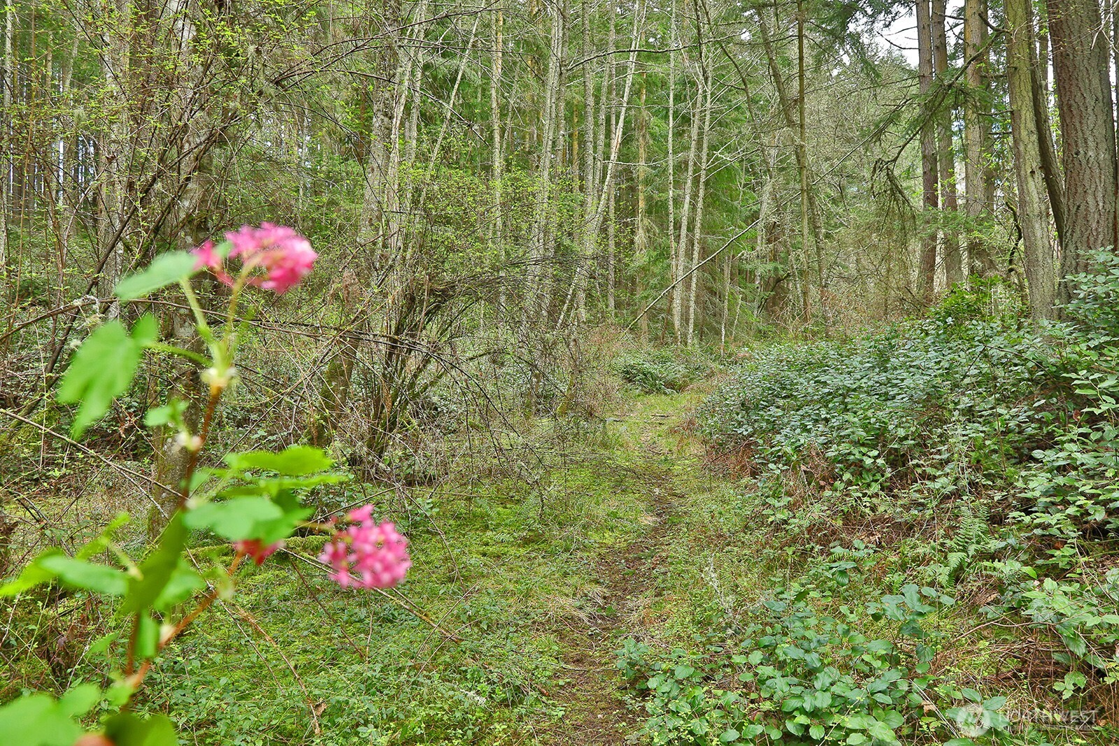 0 XXX Mutiny Bay Road , Freeland, WA 98249