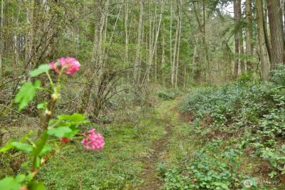 0 XXX Mutiny Bay Road , Freeland, WA 98249 - Photo 11