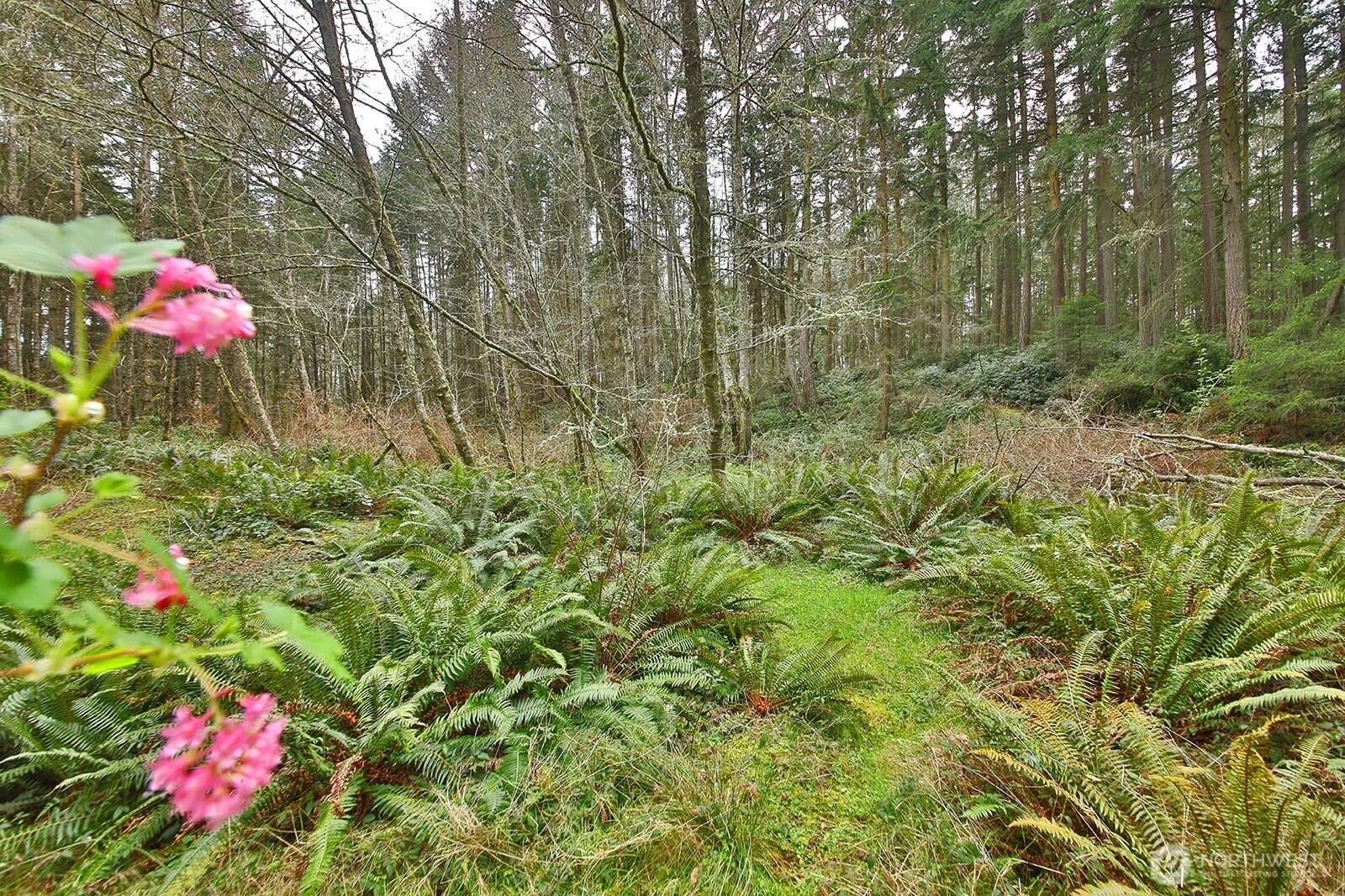 0 XXX Mutiny Bay Road , Freeland, WA 98249