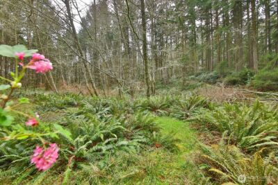 0 XXX Mutiny Bay Road , Freeland, WA 98249 - Photo 12