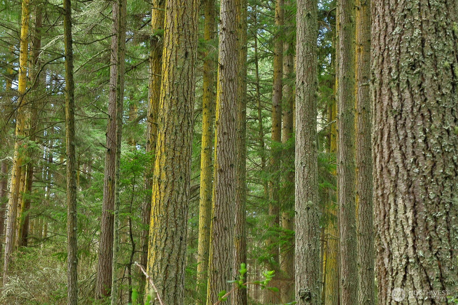 0 XXX Mutiny Bay Road , Freeland, WA 98249