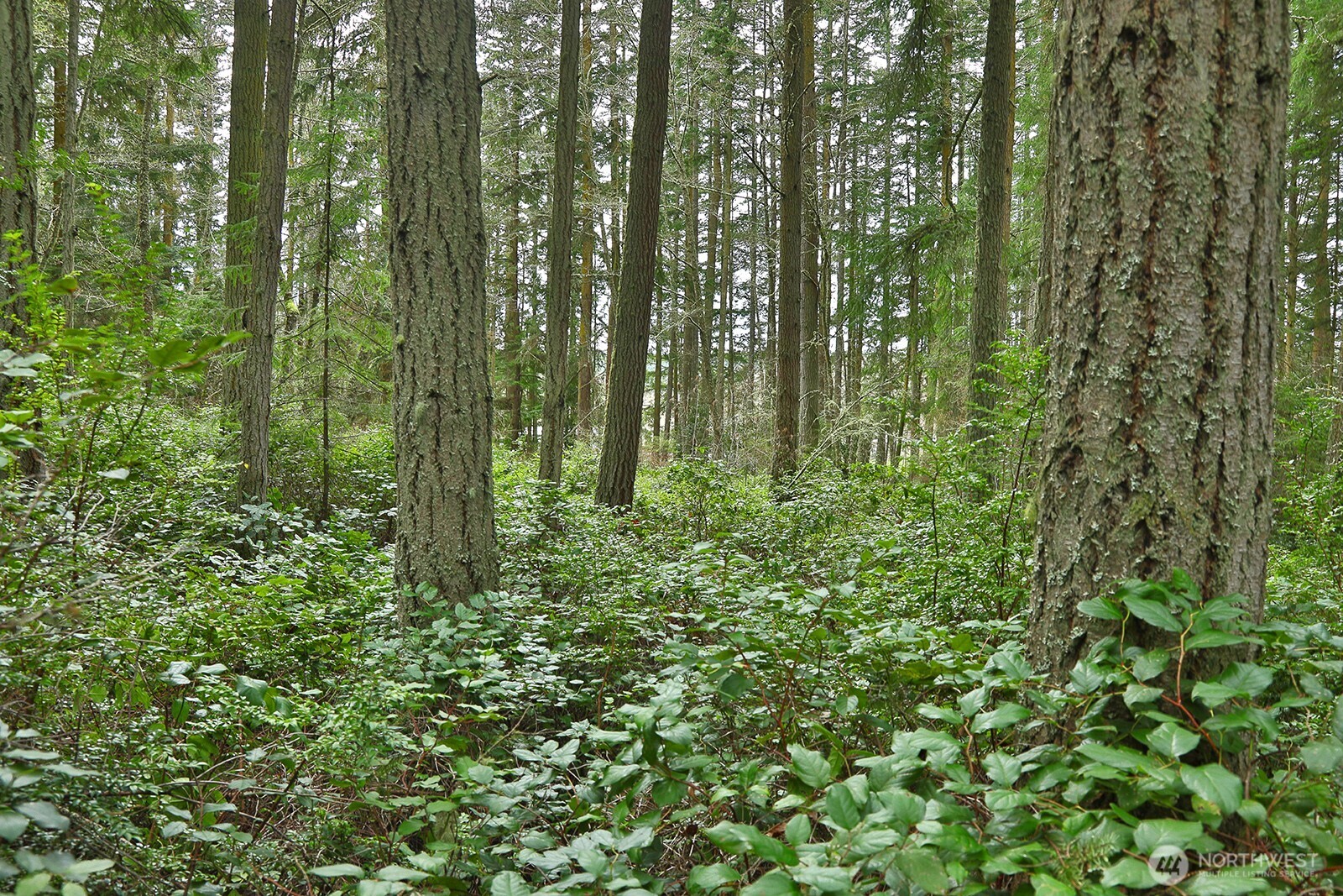 0 XXX Mutiny Bay Road , Freeland, WA 98249