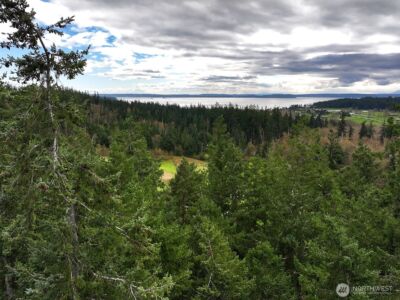 0 XXX Mutiny Bay Road , Freeland, WA 98249 - Photo 24