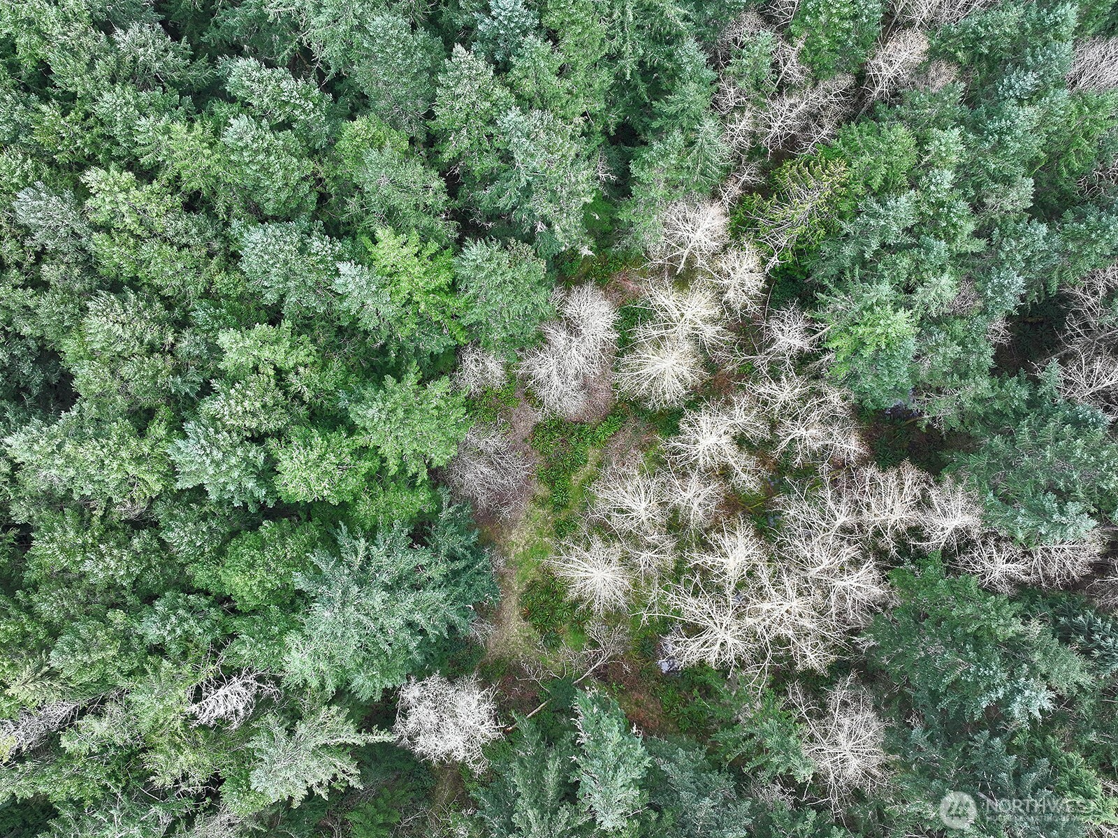 0 XXX Mutiny Bay Road , Freeland, WA 98249