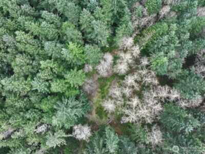 0 XXX Mutiny Bay Road , Freeland, WA 98249 - Photo 26