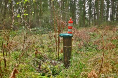 0 XXX Mutiny Bay Road , Freeland, WA 98249 - Photo 3