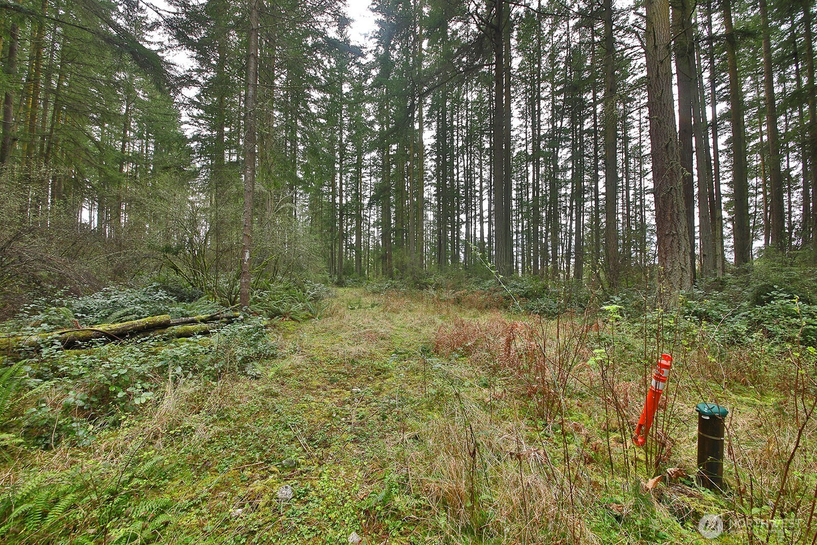 0 XXX Mutiny Bay Road , Freeland, WA 98249