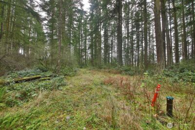 0 XXX Mutiny Bay Road , Freeland, WA 98249 - Photo 4