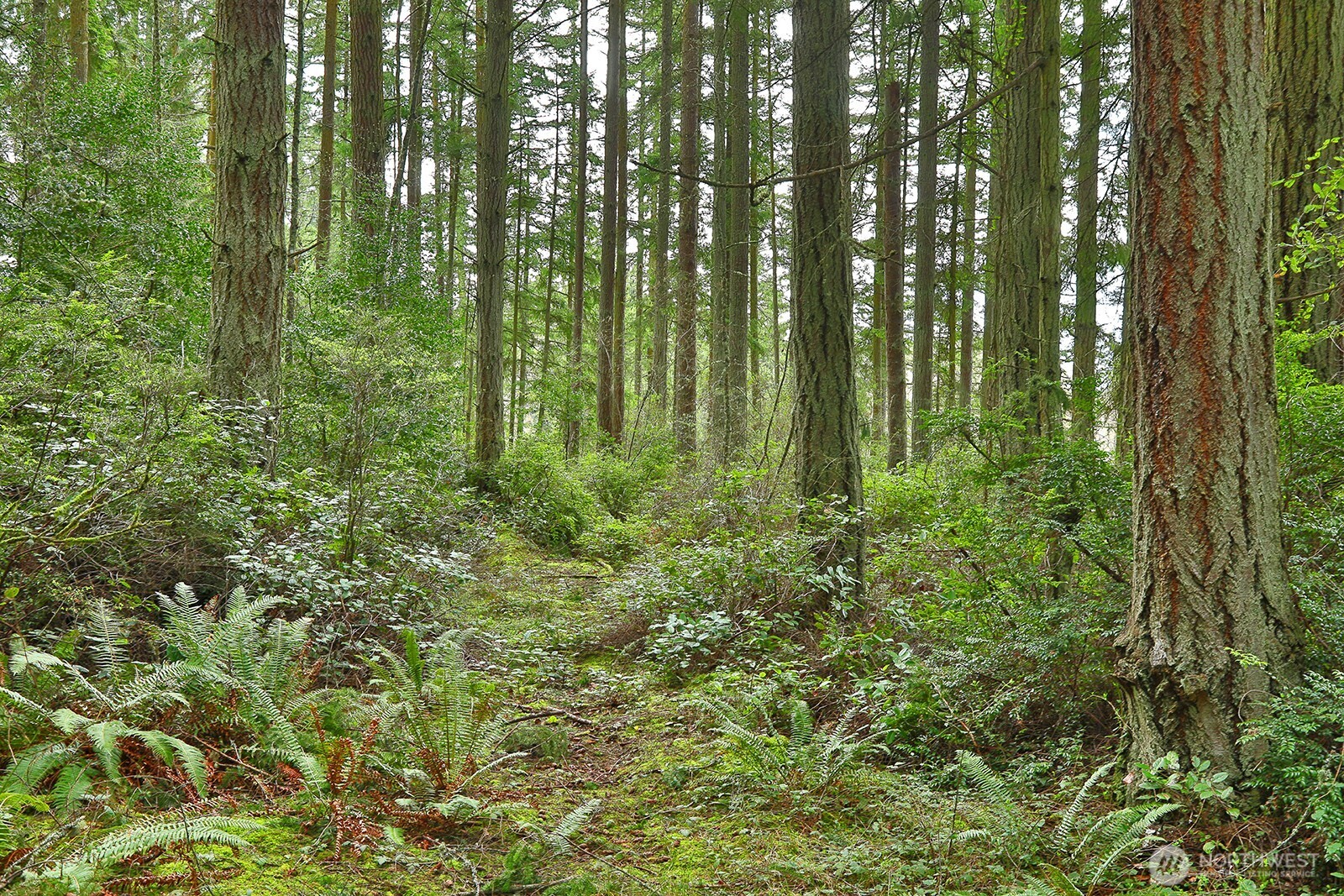 0 XXX Mutiny Bay Road , Freeland, WA 98249